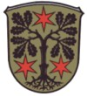 100px-Wappen_Odenwaldkreis